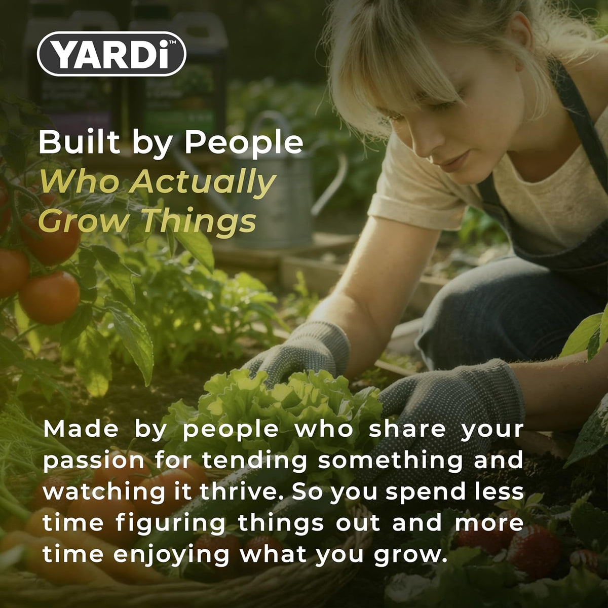 YARDi Brassicas & Greens plant food dilution rate and how to use