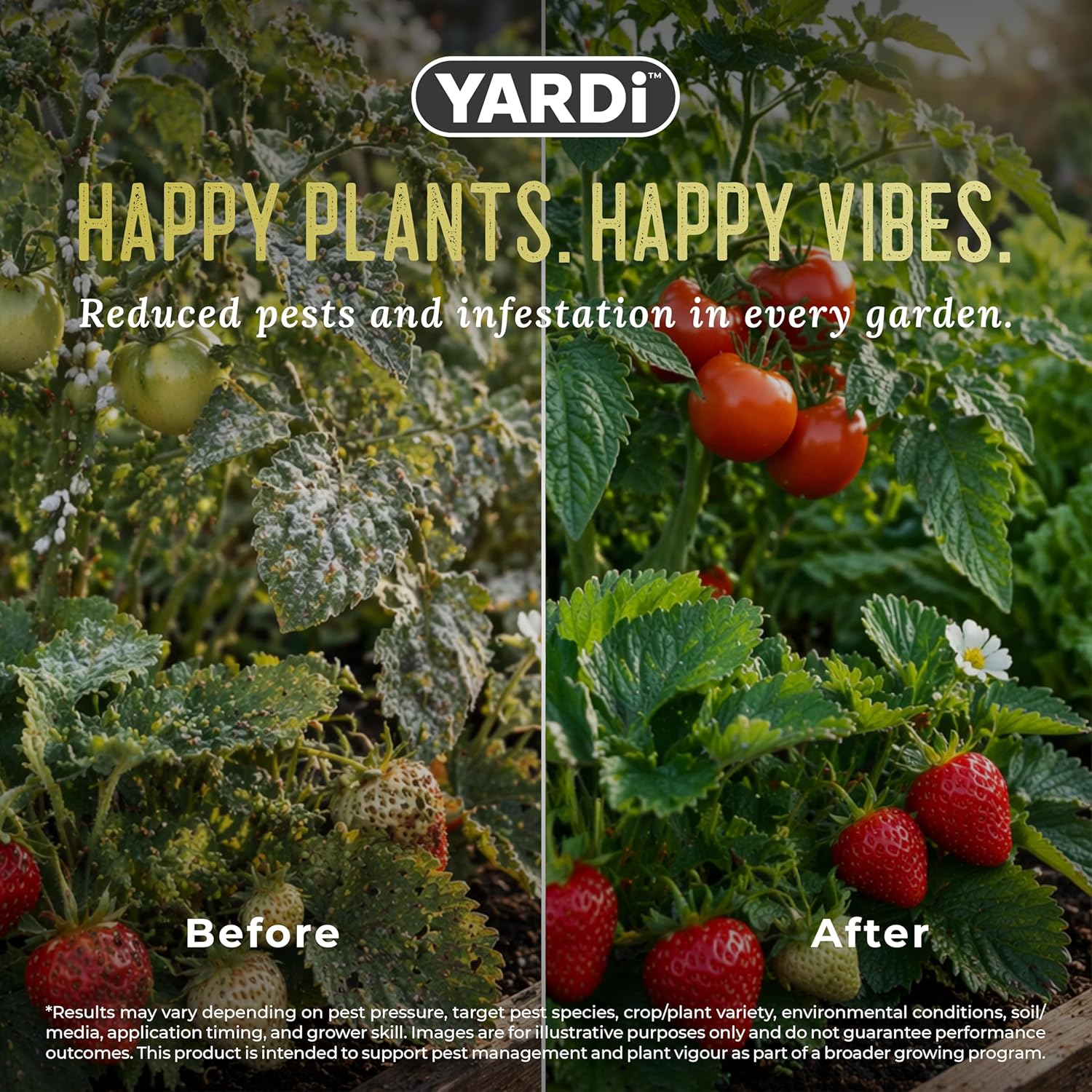 YARDi Pest & Disease Control kills aphids, spider mites, and whiteflies on contact