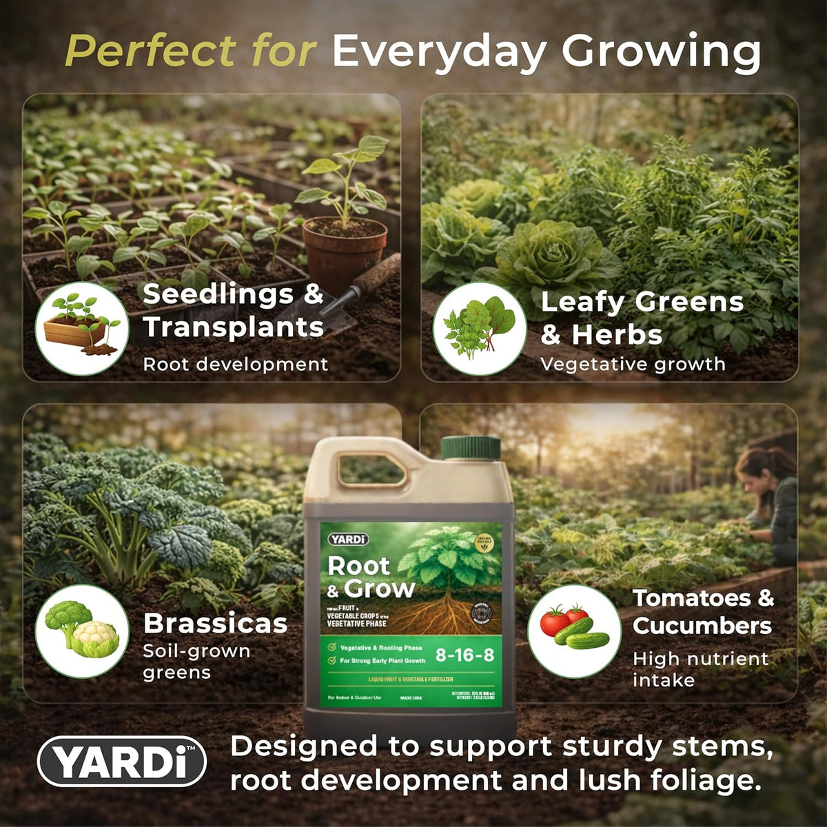 YARDi Root & Grow 8-16-8 fertilizer benefits for strong root development