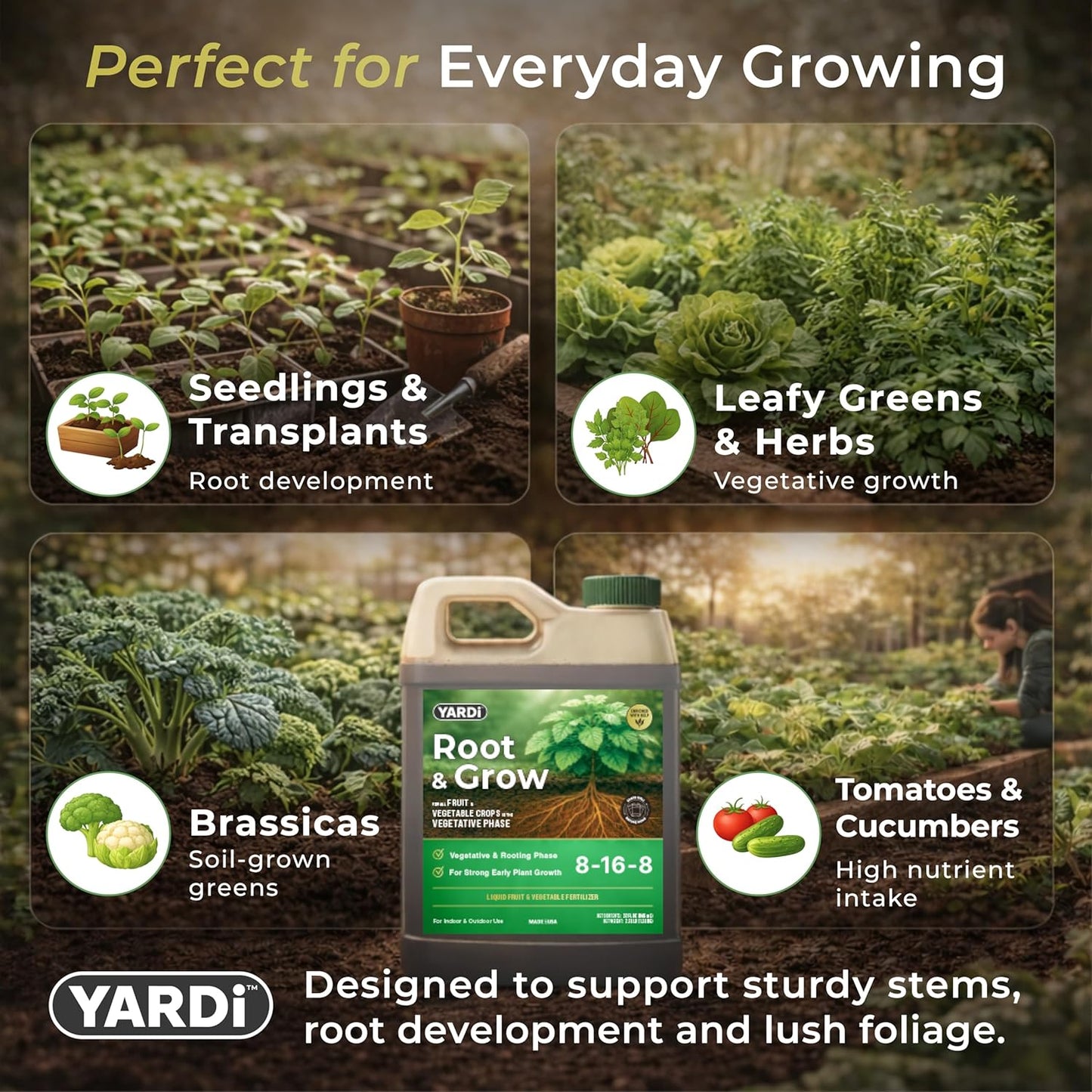 YARDi Root & Grow — Liquid Fertilizer 8-16-8