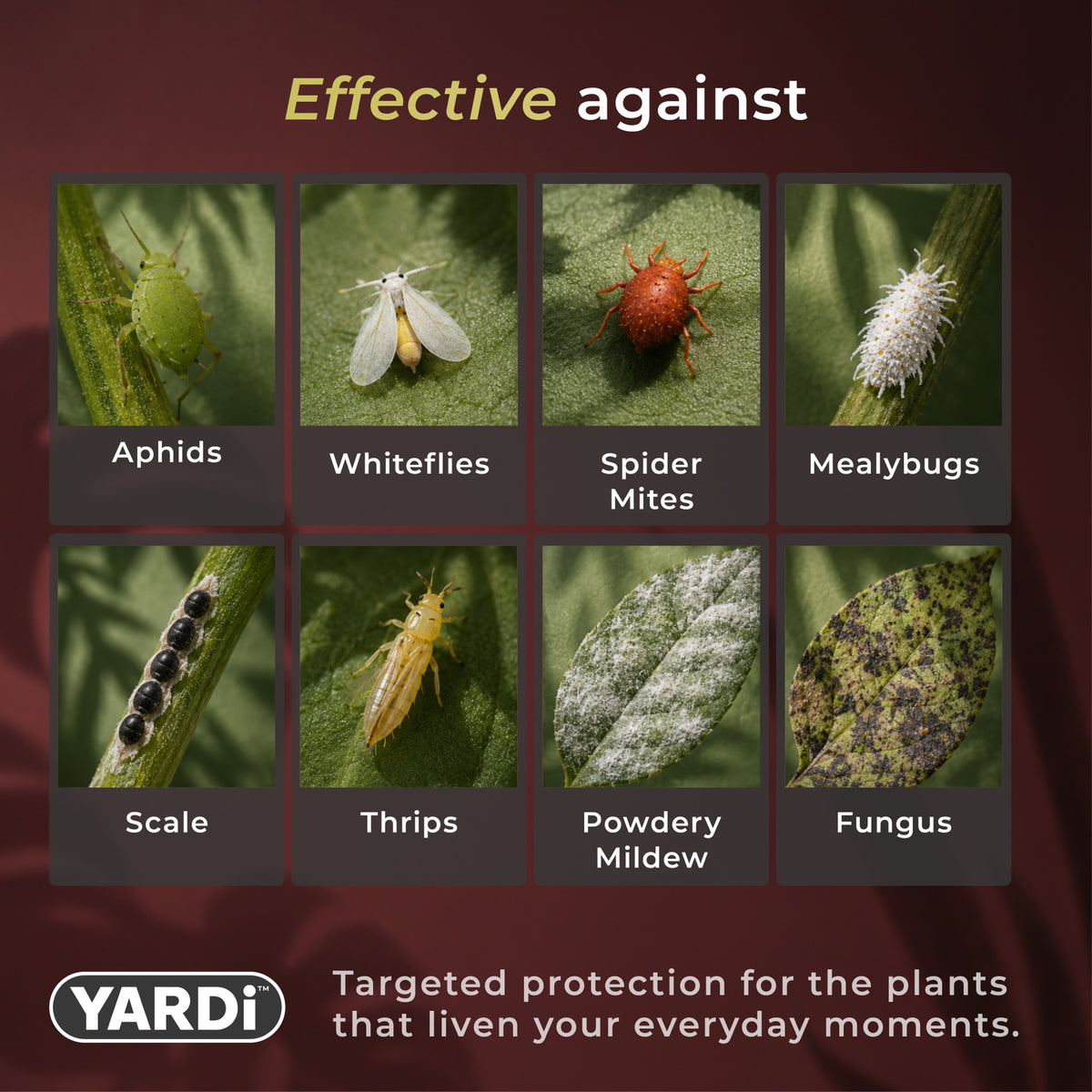 YARDi Houseplant Pest and Disease Control ready to use spray