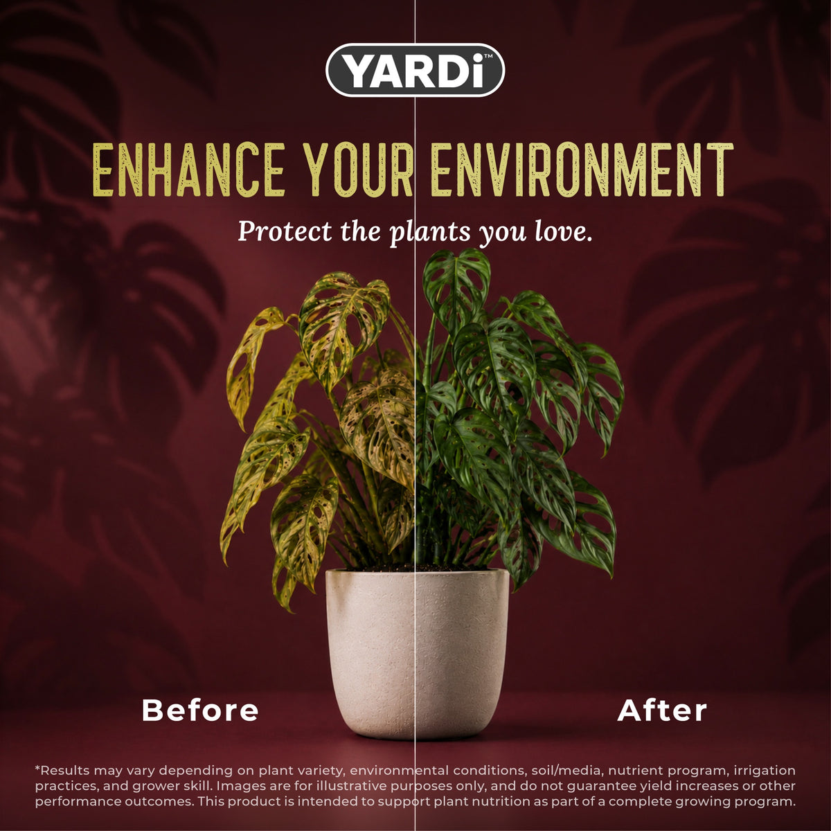 YARDi Houseplant Pest and Disease Control ready to use spray