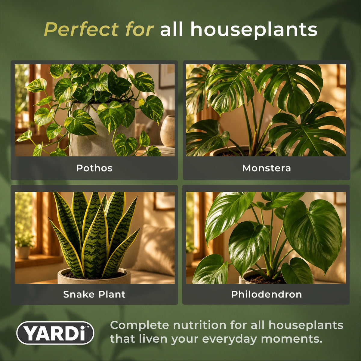 Indoor Core Liquid Houseplant Food 3-1-4