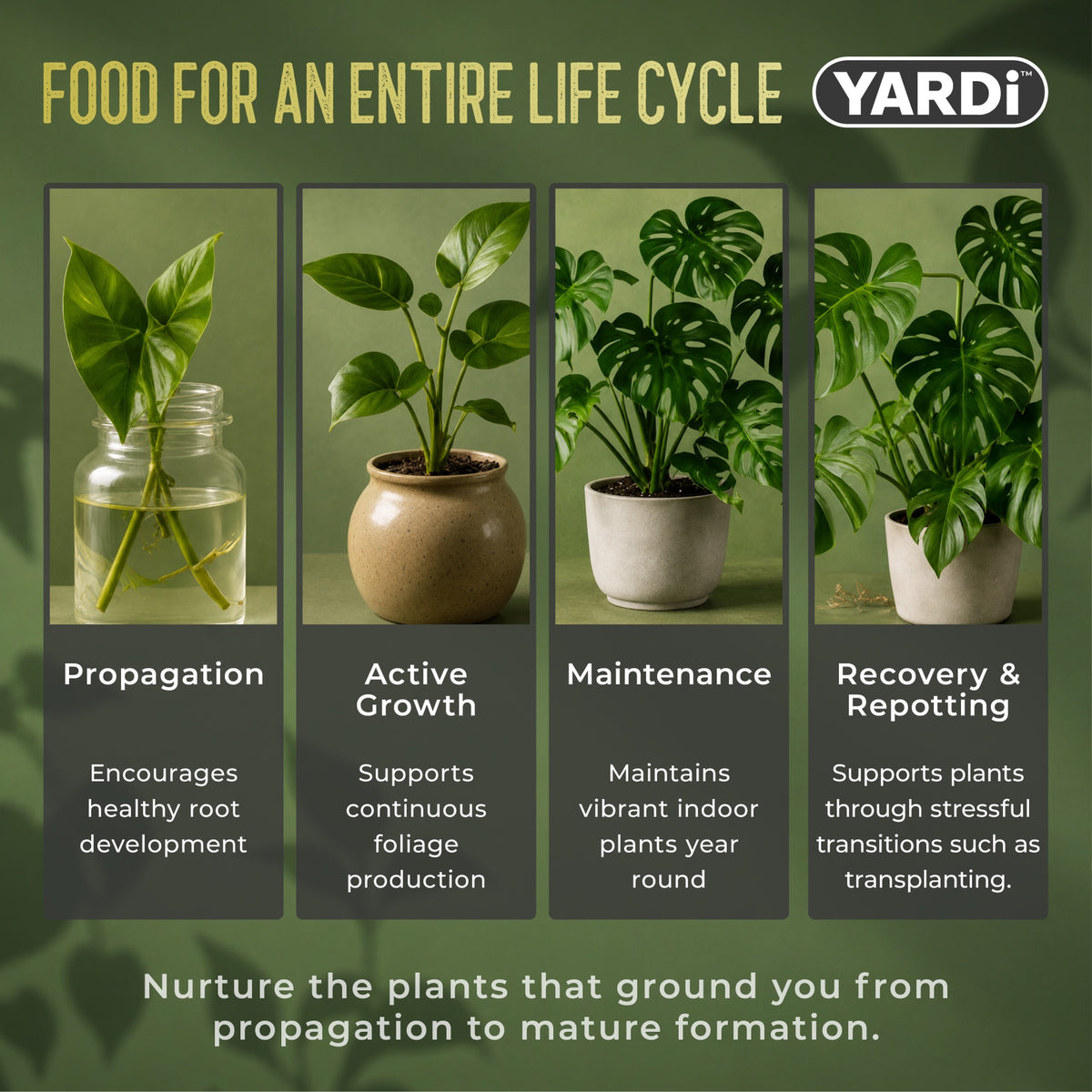 Indoor Core Liquid Houseplant Food 3-1-4