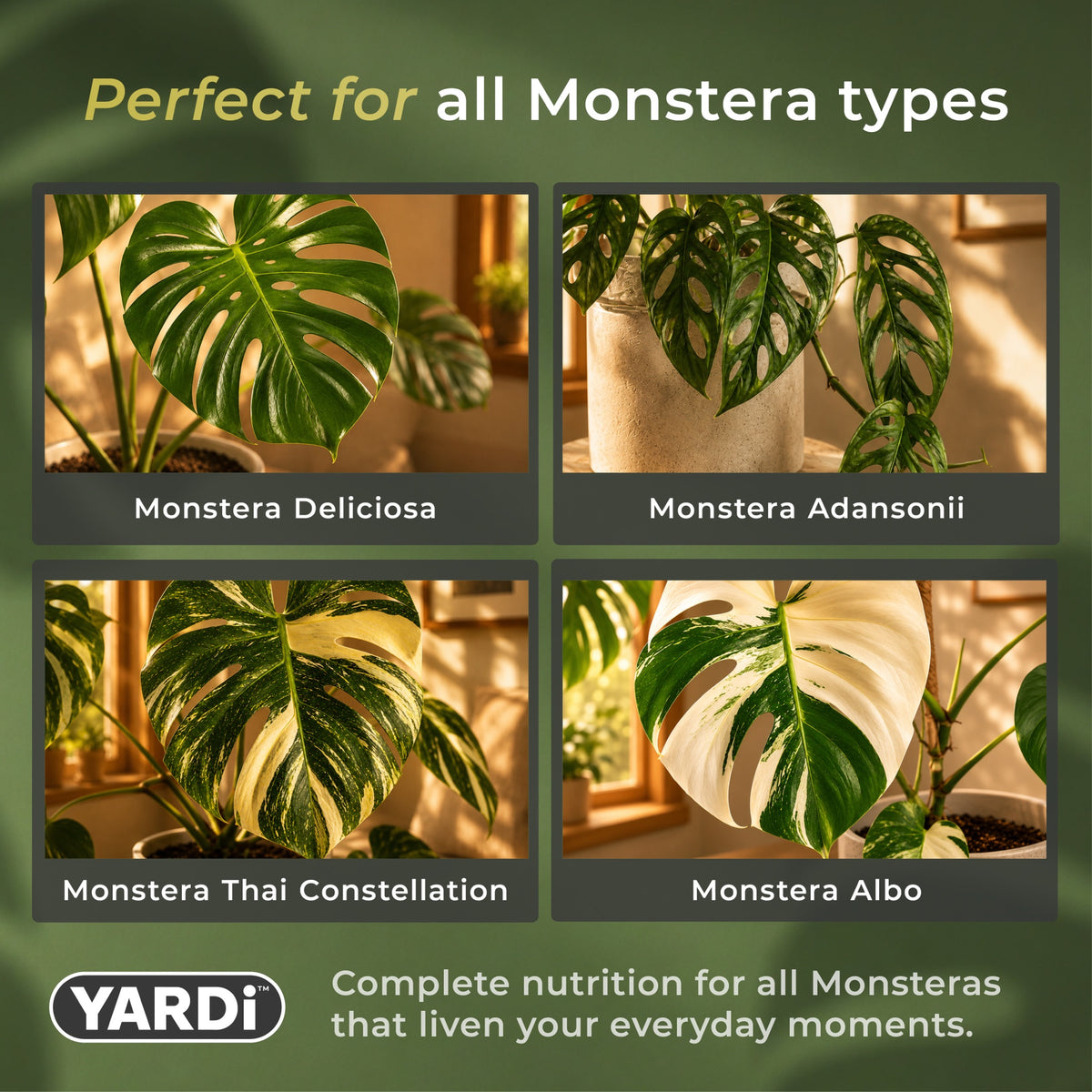 Monsteras Liquid Plant Food 3-1-2