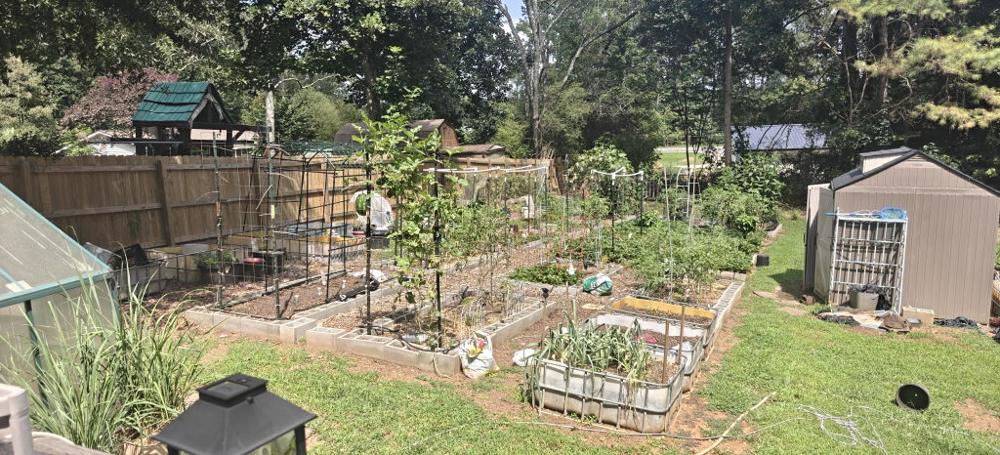 Raised bed vegetable garden, shared in Donna's YARDi review